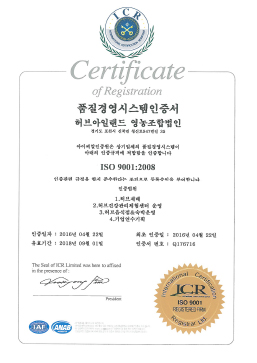 ISO 9001 (Quality Management System) 품질 경영 시스템 인증